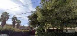 9335 Noble Avenue
