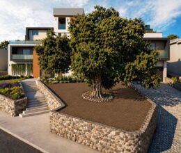 2817 Montrose Avenue View